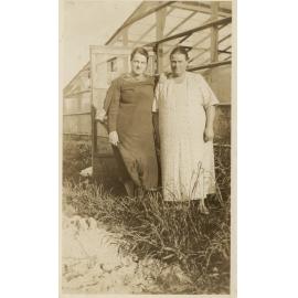 Glasshouses at 9 Ryrie Avenue, Cromer