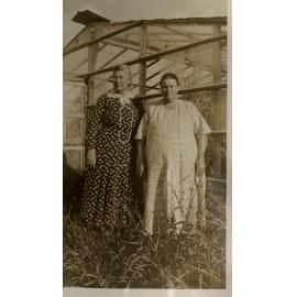 Glasshouses at 9 Ryrie Avenue, Cromer