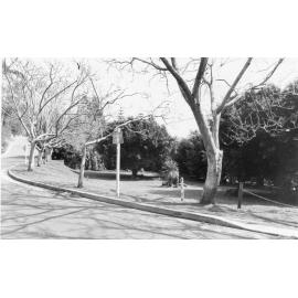 Street view, in Avalon