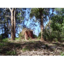 Remnants of the Old Wheeler farm, Narrabeen Lagoon