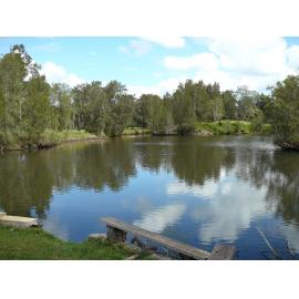 Manly Lagoon at rear of houses in Riverview Parade, North Manly