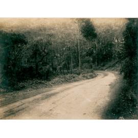 Barrenjoey Road near Palm Beach