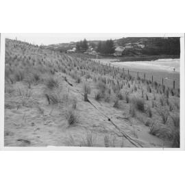 Avalon Beach Sand Dunes