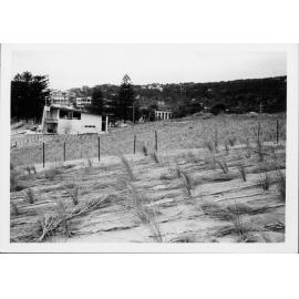 Avalon Beach Sand Dunes and Surf Life Saving Club
