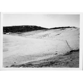 Avalon Beach Sand Dunes