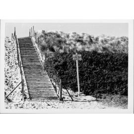 Avalon Beach Sand Dunes