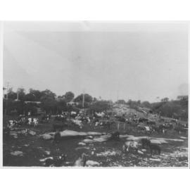 Cattle on a dairy farm, Balgowlah, c1930
