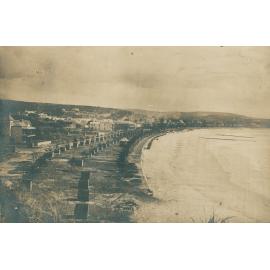 View facing north along Manly Beach, showing new tree plantings, 1886