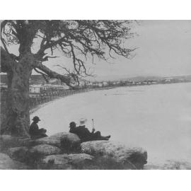 Manly Beach with recently planted pine trees, c1882