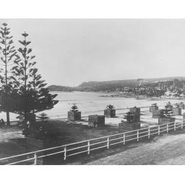 Manly Beach with young Norfolk Island pine trees, c1880 to c1890s
