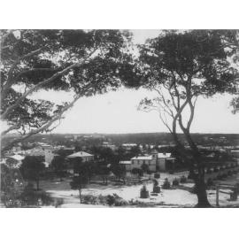 Elevated view from Manly Beach with newly planted pine trees, c1878