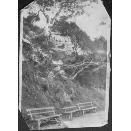 Fairy Bower Walkway, Manly, c1900s