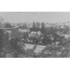 View over rooftops and trees, showing pine trees in distance