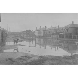 Flooded street with houses and dog during the Manly Floods, Manly, c1880