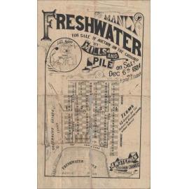 Freshwater, Manly, 1884: Subdivision Plan
