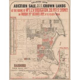 Auction Sale, Crown Land, Harbord and Curl Curl: Subdivision Plan