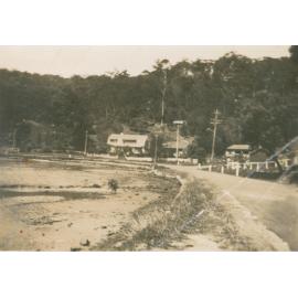 Koala viewed from Pittwater Road
