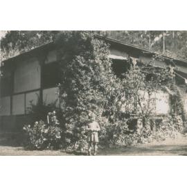 Cottage behind Koala, Bayview.