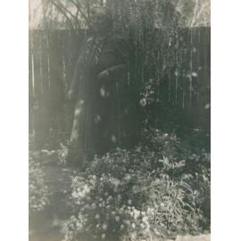 Eva Crago, Bayview.