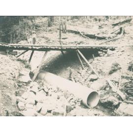 Terry and Ken Carter, McCarrs Creek.