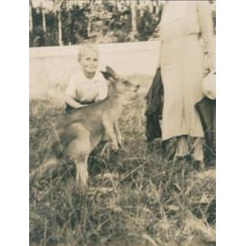 Ken Carter, Wentworth Falls.