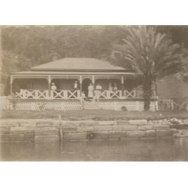 Canary Island Palm, Rostrevor, Church Point.