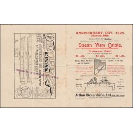 Auction booklet for Ocean View Estate, Manly, 1909: Subdivision Plan