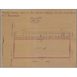 Plan of land at Lovett Street, Manly Vale owned by M J Macnamara, and neighbouring properties and owners, Manly, 1891