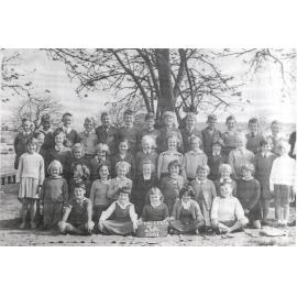 Curl Curl North Primary School, Class 3A of 1961