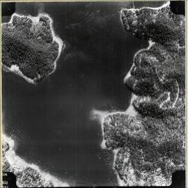 Aerial photograph of Newport and Scotland Island, 1961