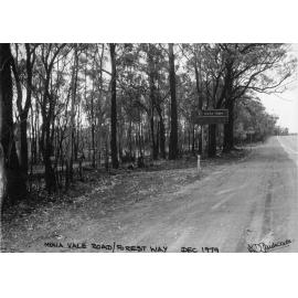 Mona Vale Road, Terrey Hills after 1979 bushfire