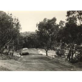 Abernethy Street, view south, Seaforth, September 1956