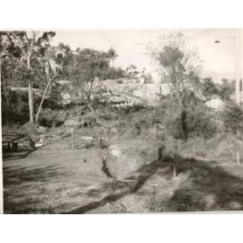 Adelaide Street, looking east, Balgowlah Heights, 1952