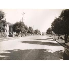 Balgowlah Road near Depot, Balgowlah, June 1952