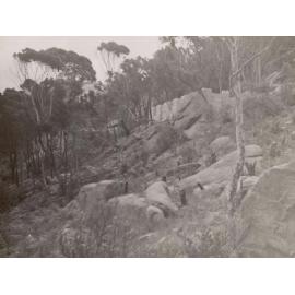 Battle Boulevarde, Lot 8, Seaforth, 11th February 1953