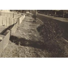 Beatrice Street east to Ernest Street, Balgowlah Heights, 29th June 1946