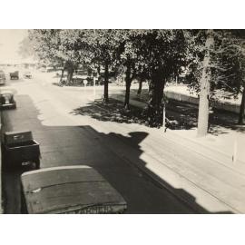 Belgrave Street, lined with trees, Manly, 3rd September 1946