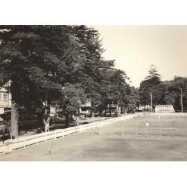 Belgrave Street trees and Manly Oval, Manly, August 1948
