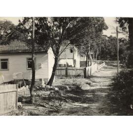 Boronia Lane, with weatherboard houses, Seaforth, September 1956