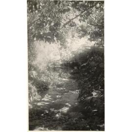 Bungaloe Ave to Condamine watercourse with scrub, Balgowlah, 8th April 1948