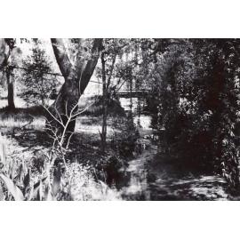 Bridge at Sangrado Street watercourse, Seaforth, c1940s
