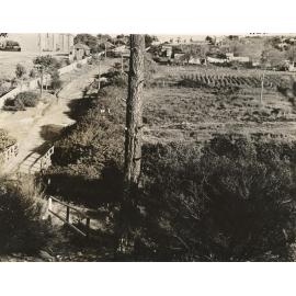 Brook Road and gardens, Seaforth, 30th June 1947