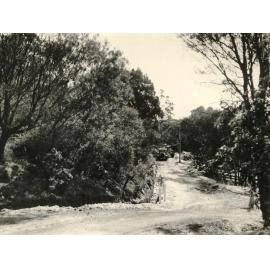 Callicoma Roa, Seaforth, September 1956