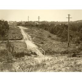 Condamine Street looking north prior to road construction, Balgowlah, 3rd August 1933