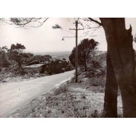 View down Frenchs Forest Road with sign reading danger, Seaforth, 7th October 1949