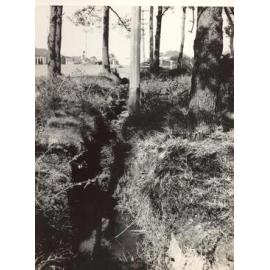 Drain, Brook Road, Seaforth, Sept 1948