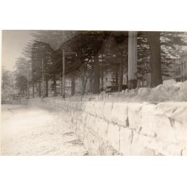 East Esplanade walk, Manly, 14th September 1948