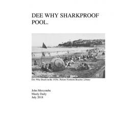 Dee Why Sharkproof Pool