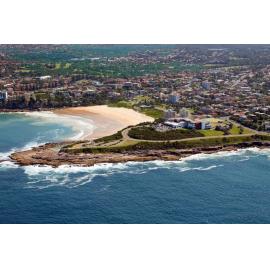 Aerial View of Harbord Diggers and Freshwater Beach
