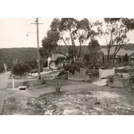 Ernest Street, nature strip, Balgowlah Heights, September 1949